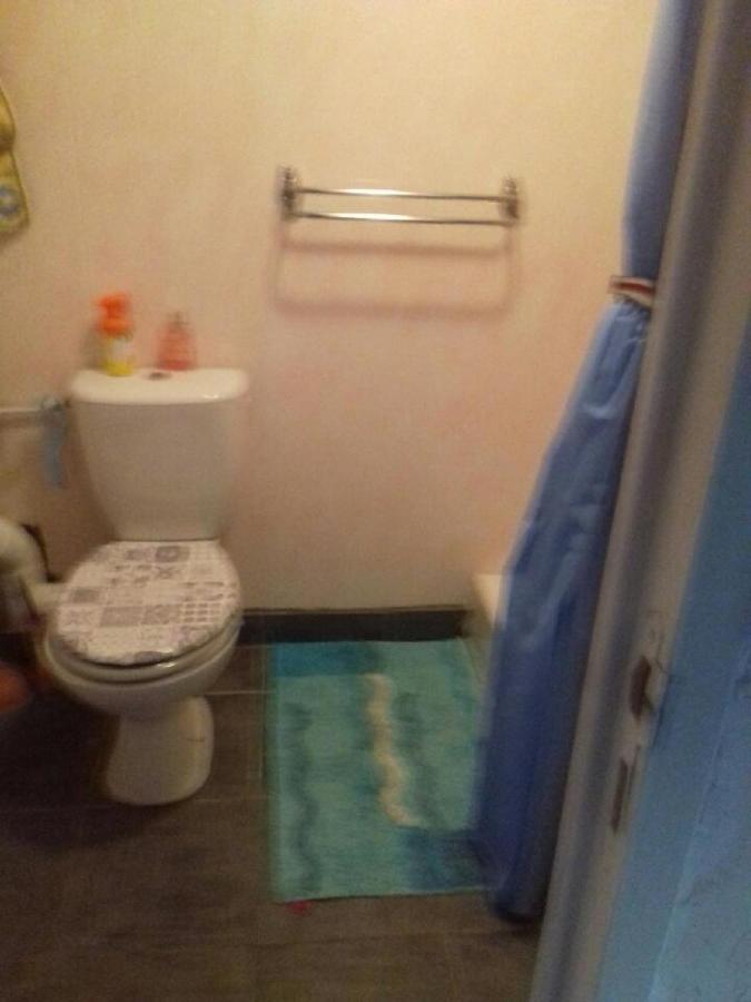 Chez Marie France Apartment Saint-Paulien ภายนอก รูปภาพ
